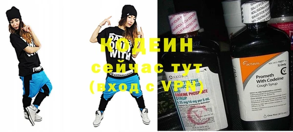 индика Богданович