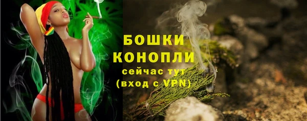 индика Богданович