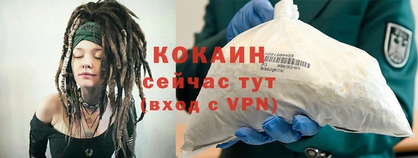 молекула духа Бородино