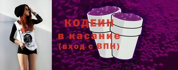 молекула духа Бородино