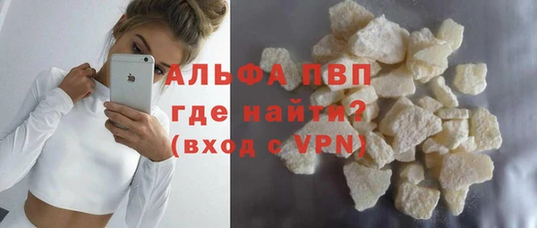 гидра Богородицк
