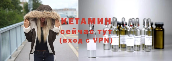 гидра Богородицк