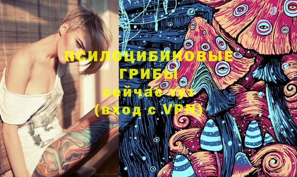 индика Богданович