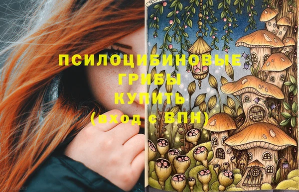 молекула духа Бородино