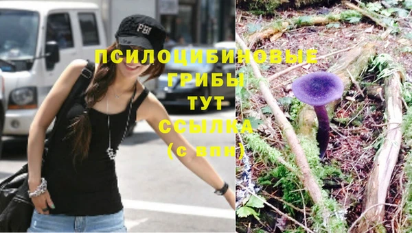 гидра Богородицк