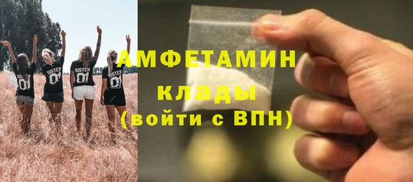 гидра Богородицк