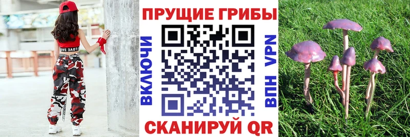 Галлюциногенные грибы GOLDEN TEACHER  Верхотурье 